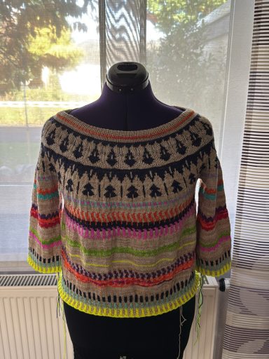 Bunt gemusterter Pullover mit farbigen Streifen und kurzen Ärmeln.